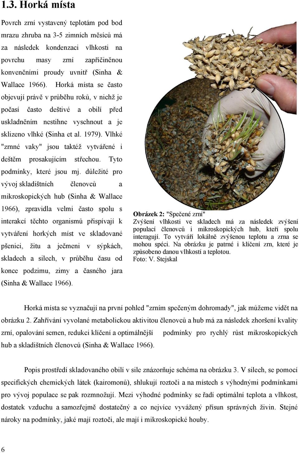 Vlhké "zrnné vaky" jsou taktéž vytvářené i deštěm prosakujícím střechou. Tyto podmínky, které jsou mj.