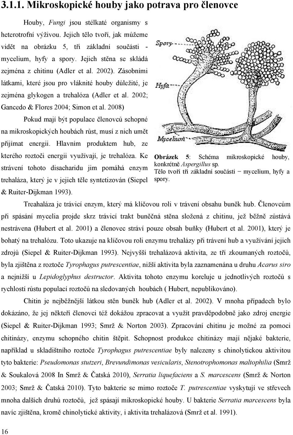 Zásobními látkami, které jsou pro vláknité houby důležité, je zejména glykogen a trehalóza (Adler et al. 2002; Gancedo & Flores 2004; Simon et al.