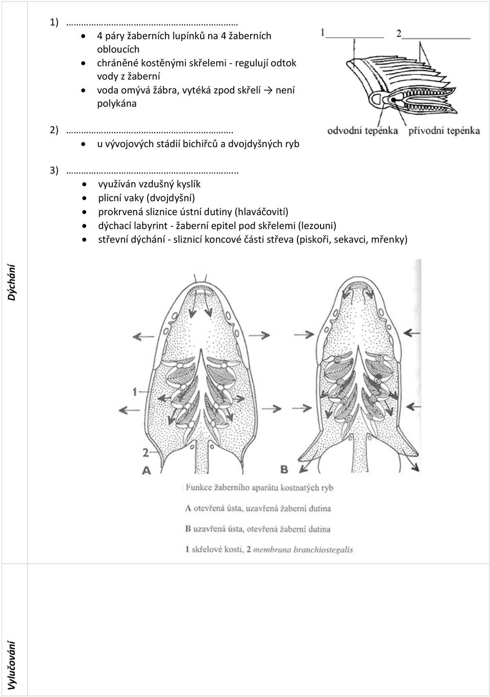 u vývojových stádií bichiřců a dvojdyšných ryb 3).