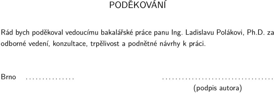 za odborné vedení, konzultace, trpělivost a podnětné