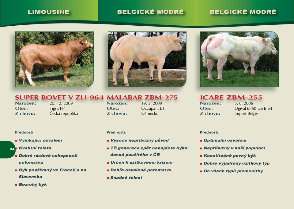 2006 Ogival 6850 De Biert Z chovu: Import Belgie Vynikající osvalení 84 Kvalitní telata Dobré růstové schopnosti potomstva Býk používaný ve Francii a na