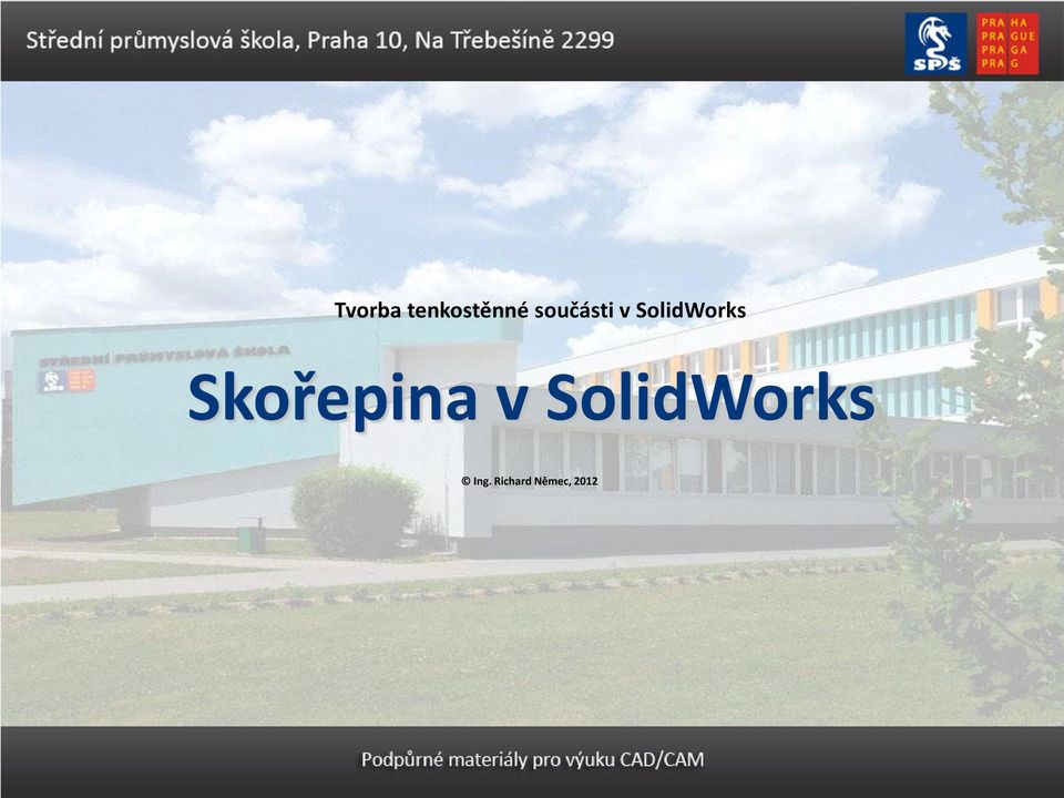 Skořepina v