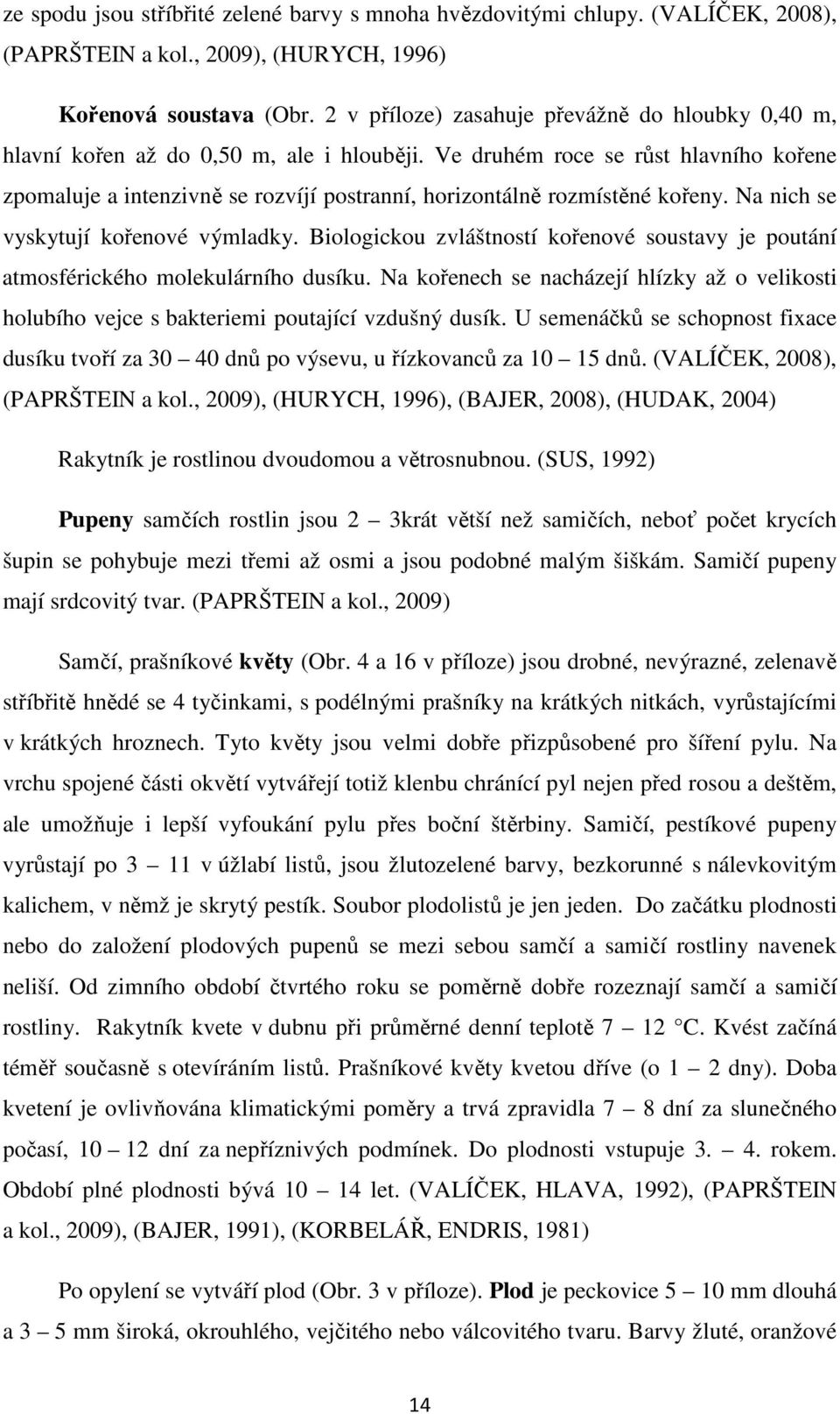 Ve druhém roce se růst hlavního kořene zpomaluje a intenzivně se rozvíjí postranní, horizontálně rozmístěné kořeny. Na nich se vyskytují kořenové výmladky.