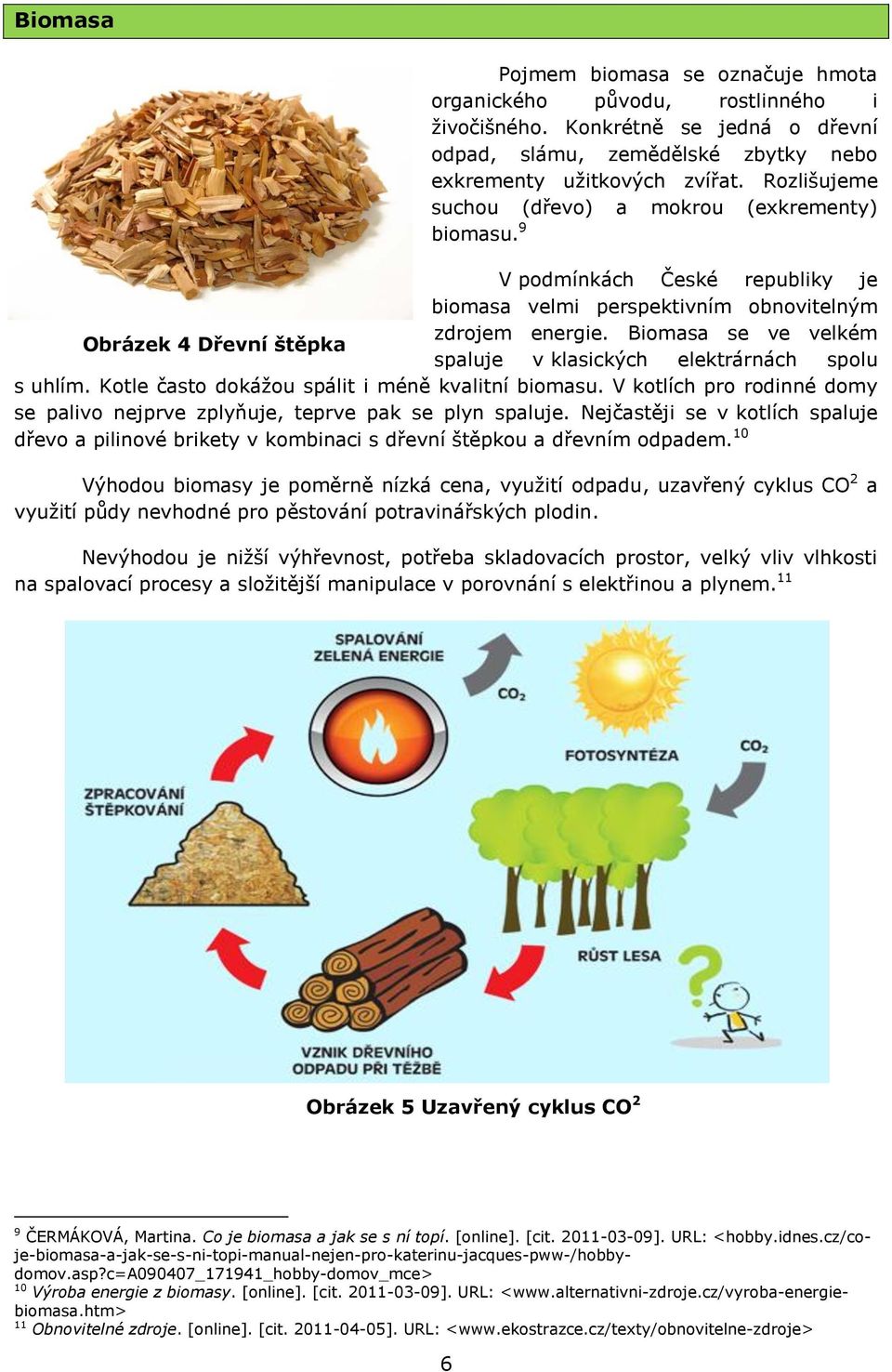 Biomasa se ve velkém Obrázek 4 Dřevní štěpka spaluje v klasických elektrárnách spolu s uhlím. Kotle často dokážou spálit i méně kvalitní biomasu.