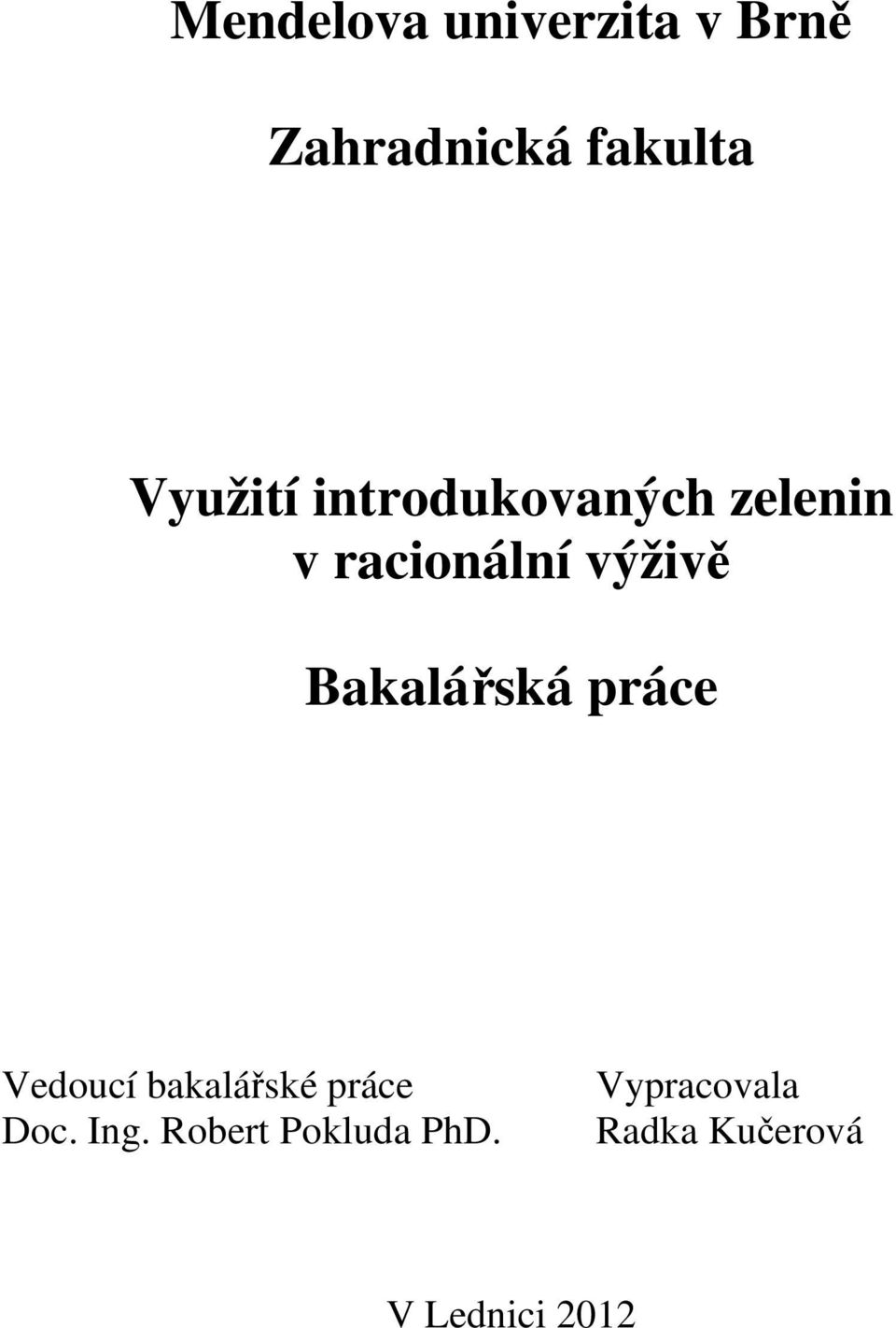 Bakalářská práce Vedoucí bakalářské práce Doc. Ing.