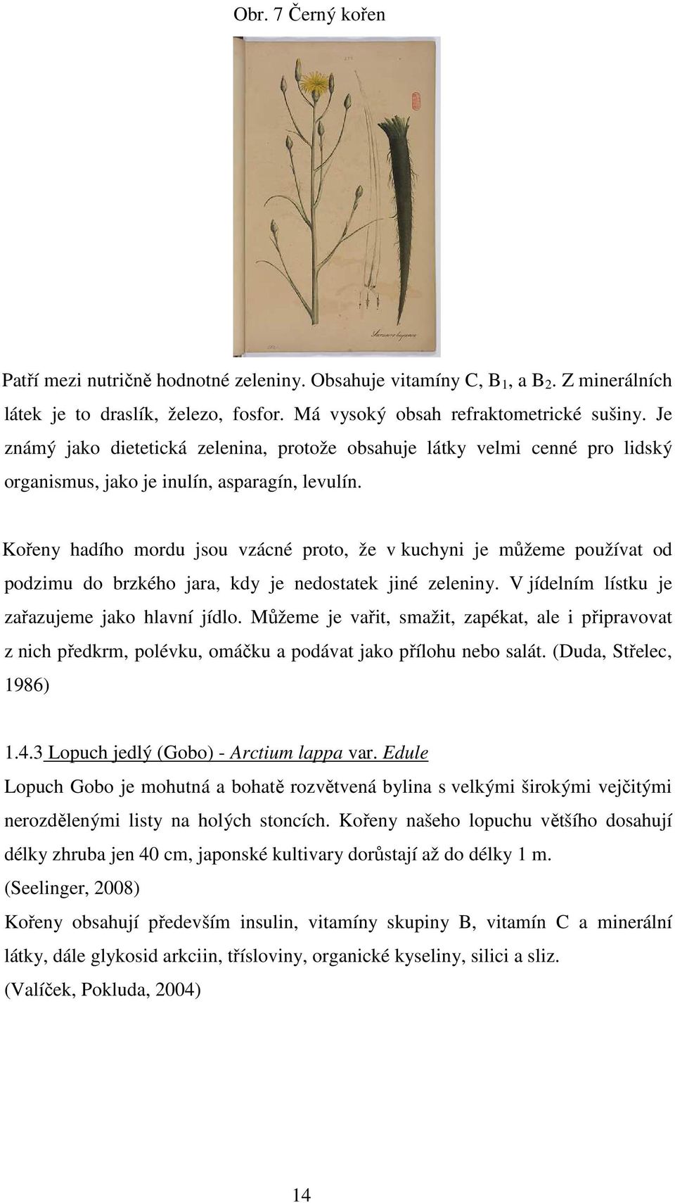 Kořeny hadího mordu jsou vzácné proto, že v kuchyni je můžeme používat od podzimu do brzkého jara, kdy je nedostatek jiné zeleniny. V jídelním lístku je zařazujeme jako hlavní jídlo.