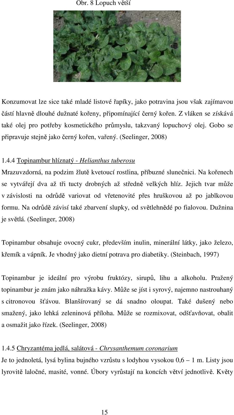 4 Topinambur hlíznatý - Helianthus tuberosu Mrazuvzdorná, na podzim žlutě kvetoucí rostlina, příbuzné slunečnici. Na kořenech se vytvářejí dva až tři tucty drobných až středně velkých hlíz.