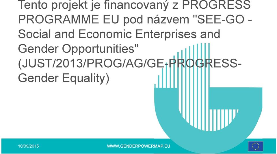 Economic Enterprises and Gender