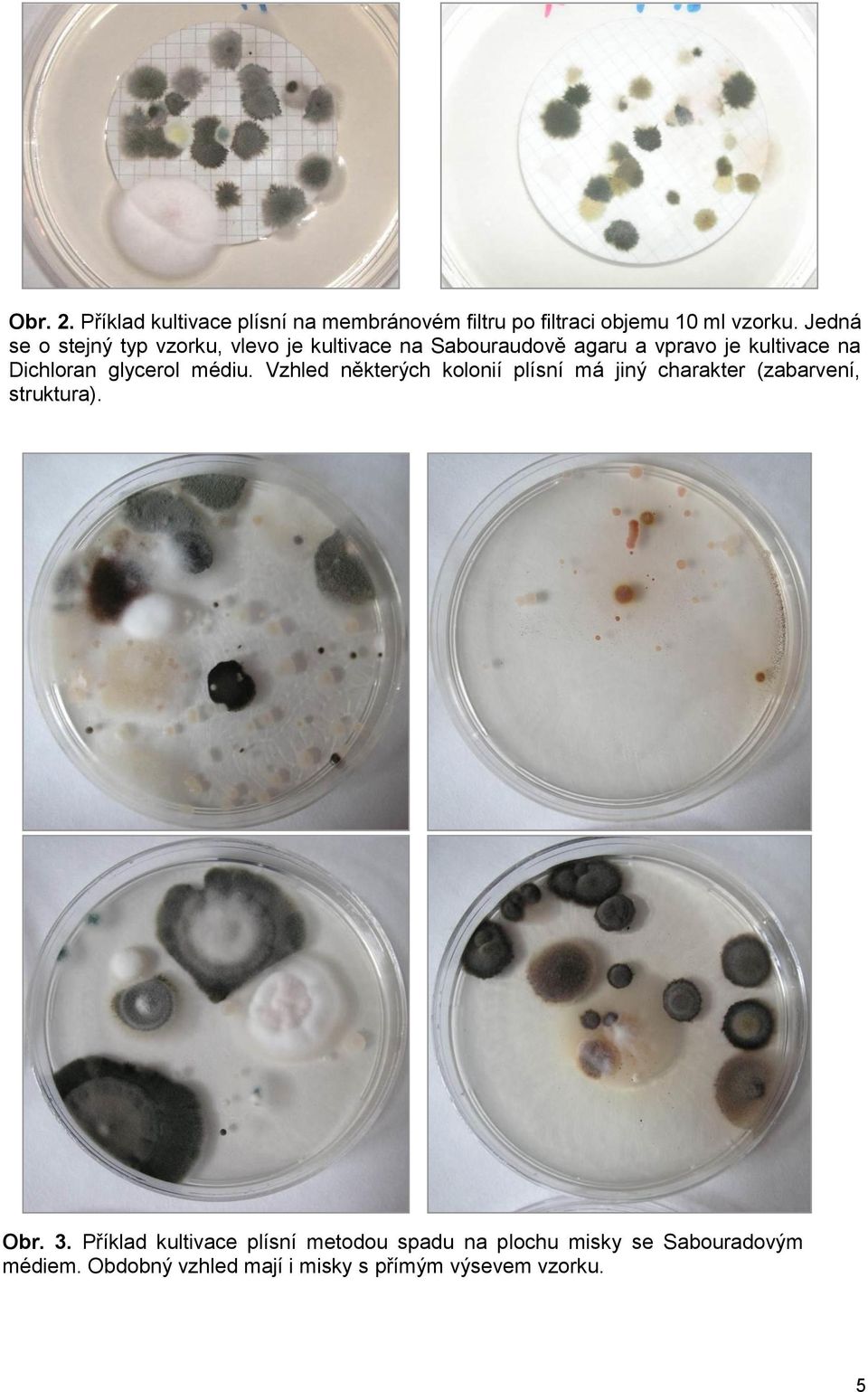 glycerol médiu. Vzhled některých kolonií plísní má jiný charakter (zabarvení, struktura). Obr. 3.