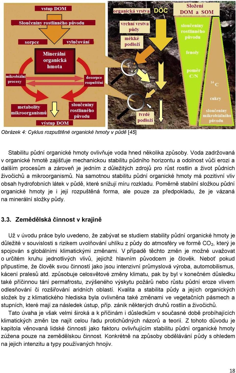 živočichů a mikroorganismů. Na samotnou stabilitu půdní organické hmoty má pozitivní vliv obsah hydrofobních látek v půdě, které snižují míru rozkladu.