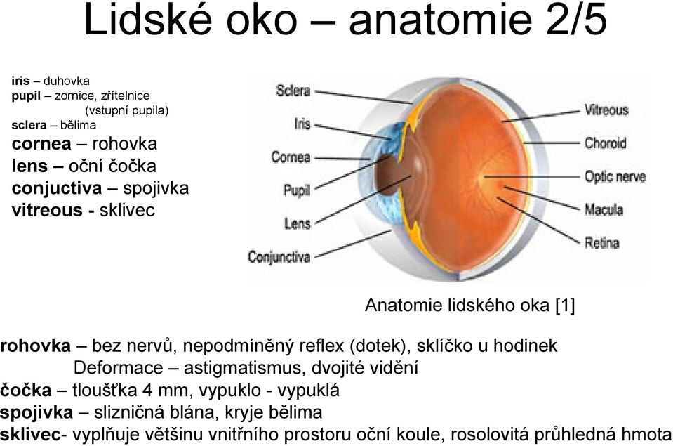 (dotek), sklíčko u hodinek Deformace astigmatismus, dvojité vidění čočka tloušťka 4 mm, vypuklo - vypuklá