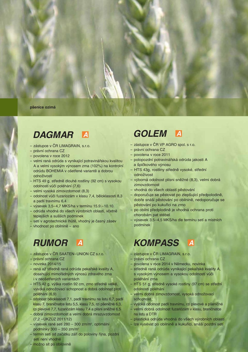 - povolena v roce 2012 - velmi raná odrůda s vynikající potravinářskou kvalitou a velmi vysokým výnosem zrna (102%) na kontrolní odrůdu BOHEMI v ošetřené variantě a dobrou odnoživostí - HTS 49 g,