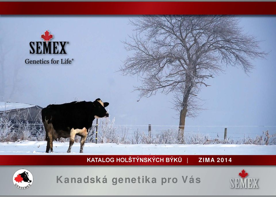 BÝKŮ ZIMA 2014