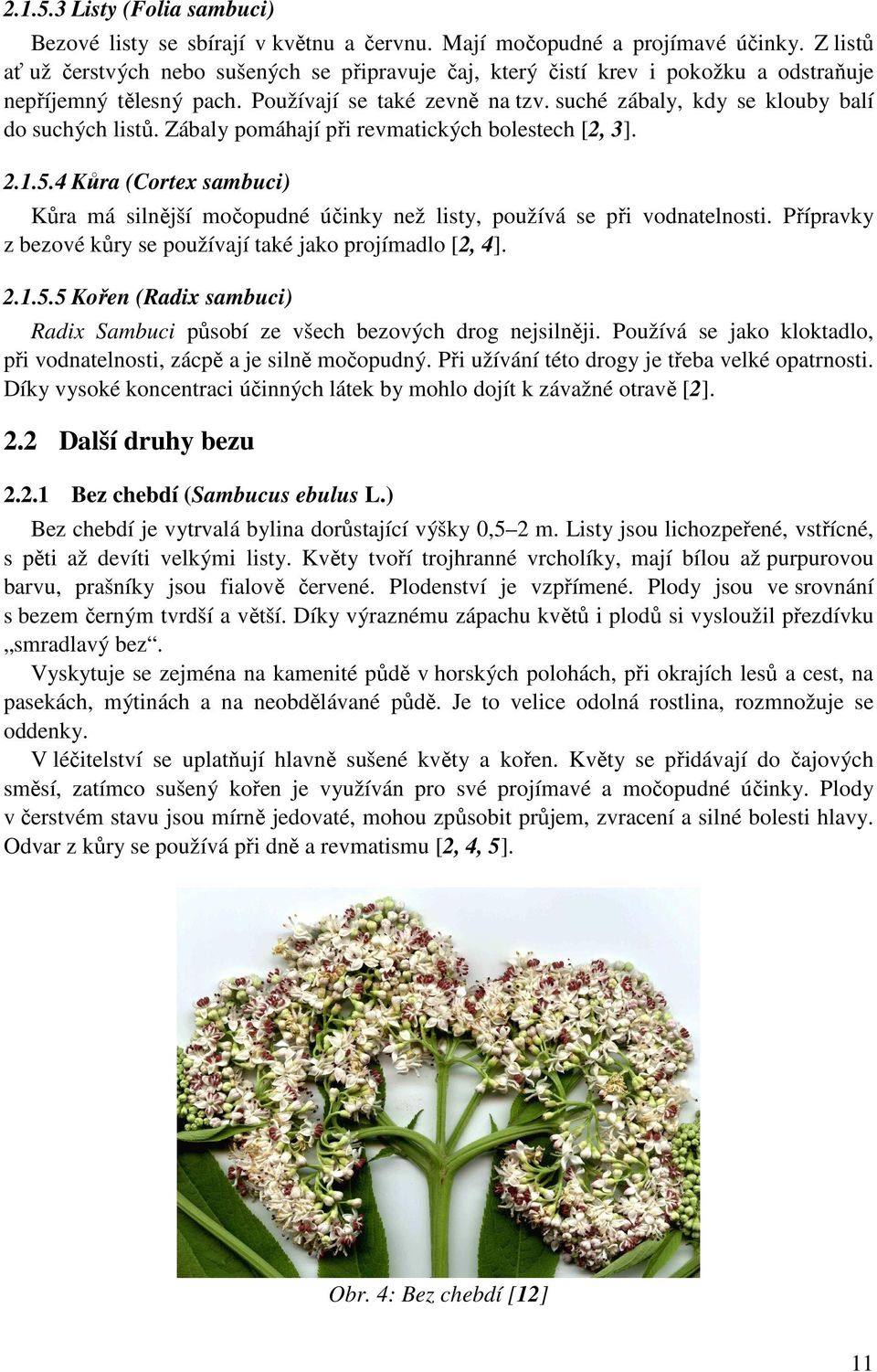 suché zábaly, kdy se klouby balí do suchých listů. Zábaly pomáhají při revmatických bolestech [2, 3]. 2.1.5.