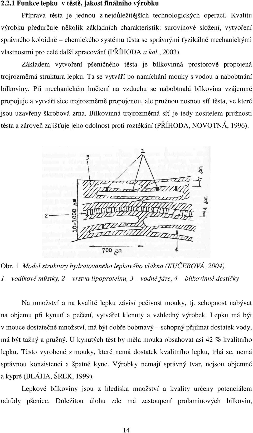 zpracování (PŘÍHODA a kol., 2003). Základem vytvoření pšeničného těsta je bílkovinná prostorově propojená trojrozměrná struktura lepku. Ta se vytváří po namíchání mouky s vodou a nabobtnání bílkoviny.