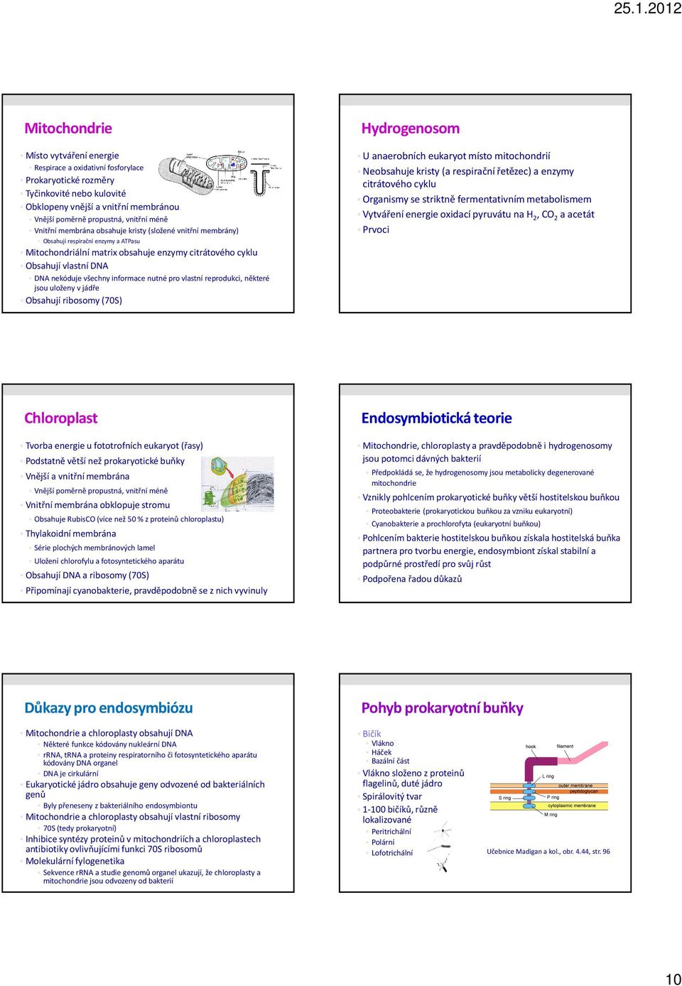 informace nutné pro vlastní reprodukci, některé jsou uloženy v jádře Obsahují ribosomy(70s) Hydrogenosom U anaerobních eukaryot místo mitochondrií Neobsahuje kristy(a respirační řetězec) a enzymy