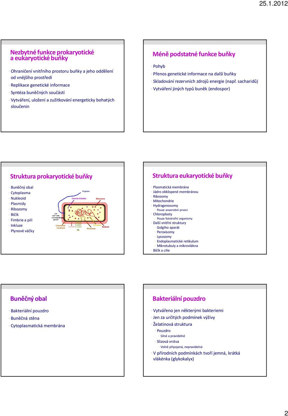 sacharidů) Vytváření jiných typů buněk (endospor) Struktura prokaryotické buňky Buněčný obal Cytoplasma Nukleoid Plasmidy Ribozomy Bičík Fimbrie a pili Inkluze Plynové váčky Struktura eukaryotické