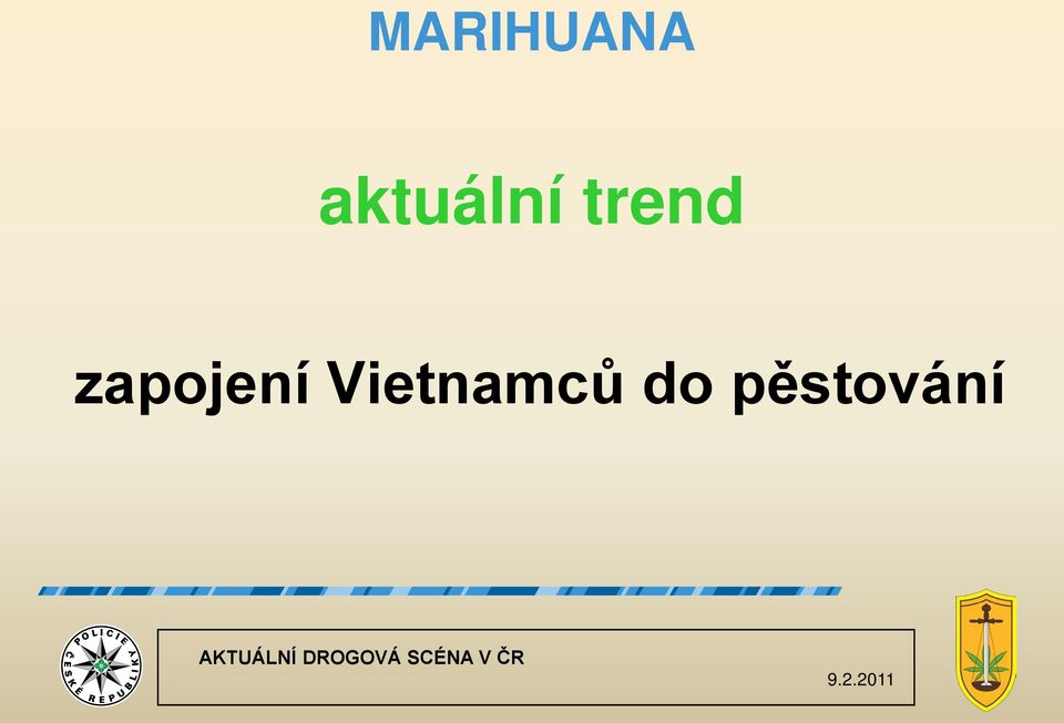 Vietnamců do