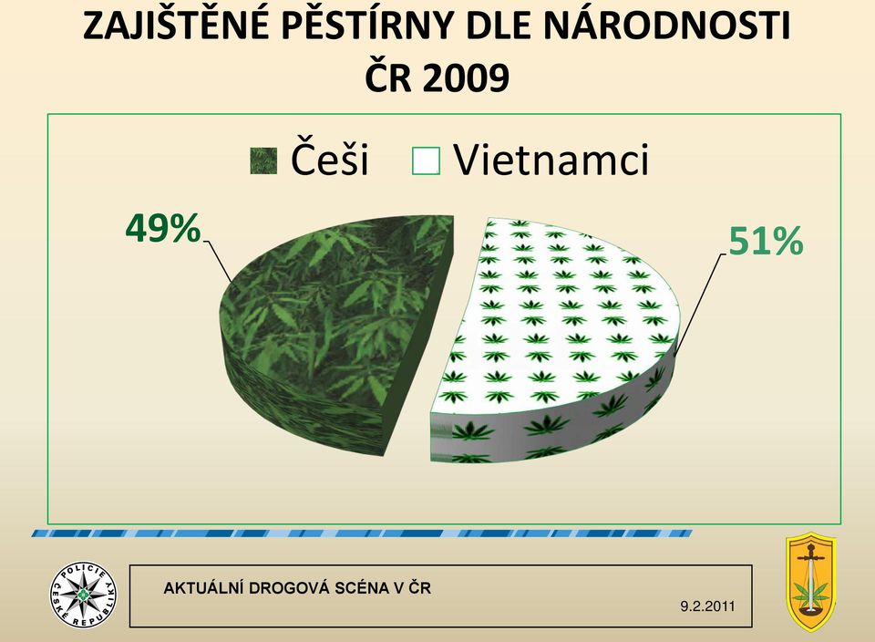 Češi Vietnamci 49% 51%