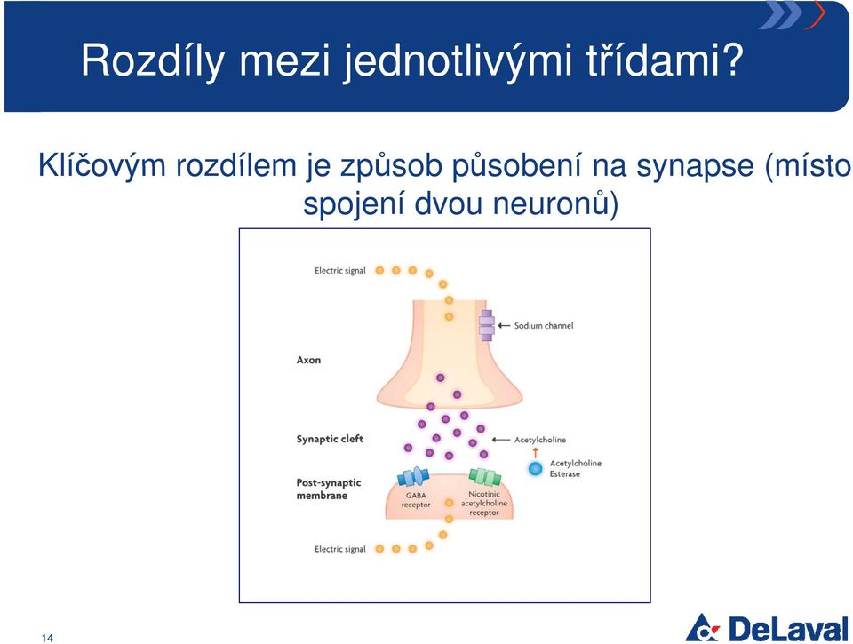 Klíčovým rozdílem je způsob