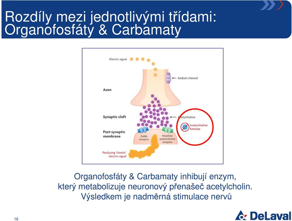enzym, který metabolizuje neuronový přenašeč