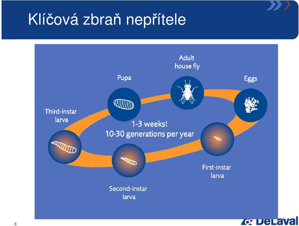 nepřítele