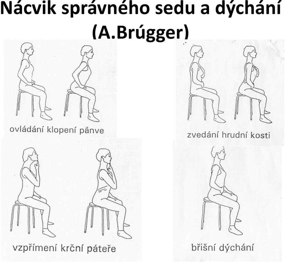 sedu a