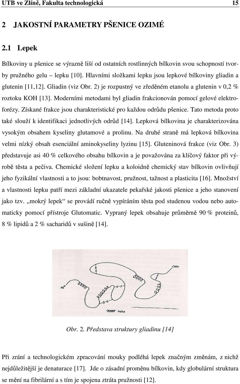 Hlavními složkami lepku jsou lepkové bílkoviny gliadin a glutenin [11,12]. Gliadin (viz Obr. 2) je rozpustný ve zředěném etanolu a glutenin v 0,2 % roztoku KOH [13].