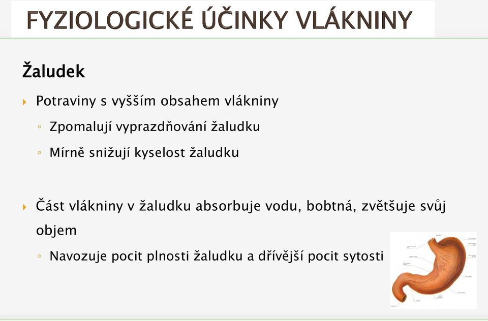 vlákniny v žaludku absorbuje vodu, bobtná, zvětšuje svůj