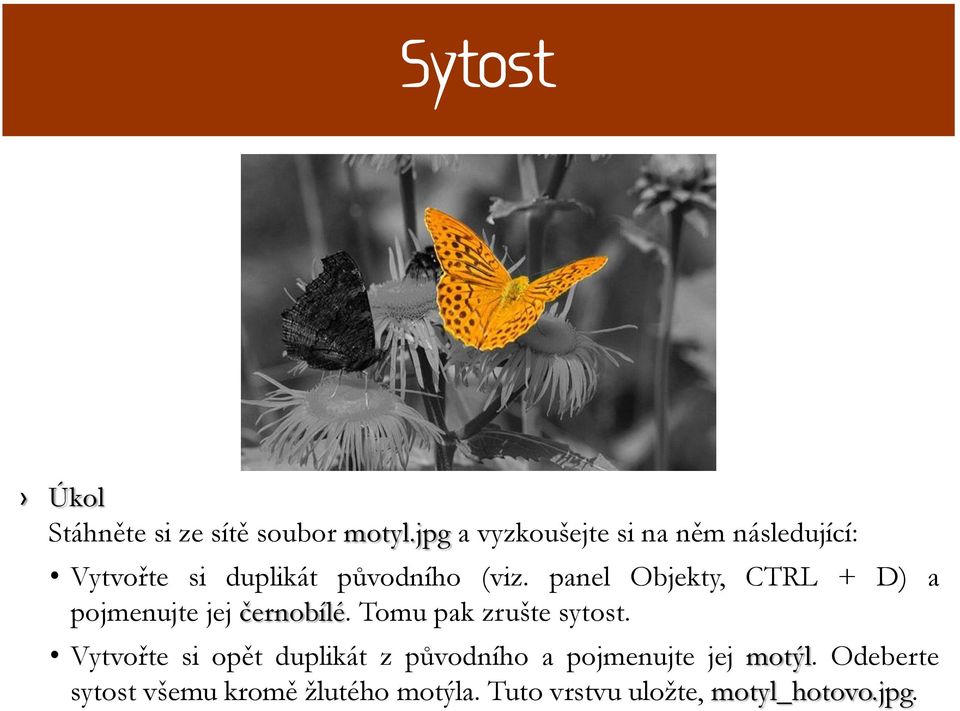 panel Objekty, CTRL + D) a pojmenujte jej černobílé. Tomu pak zrušte sytost.