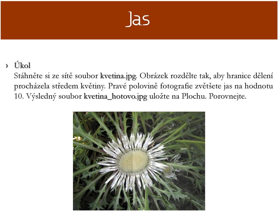 středem květiny.