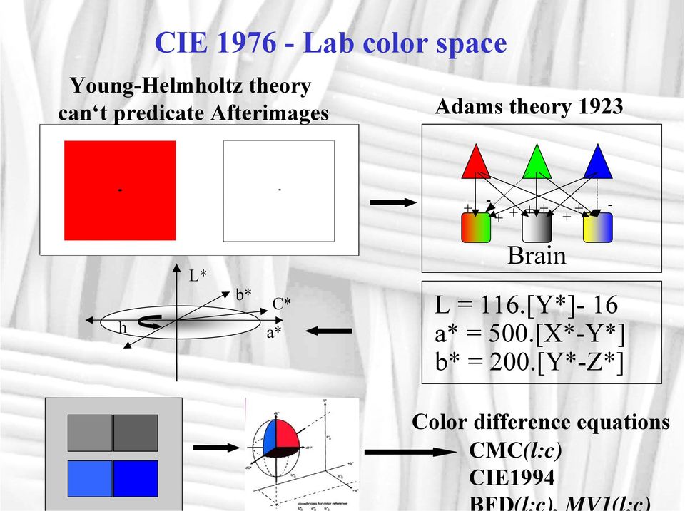 + h L* b* C* a* Brain L = 116.[Y*]- 16 a* = 500.