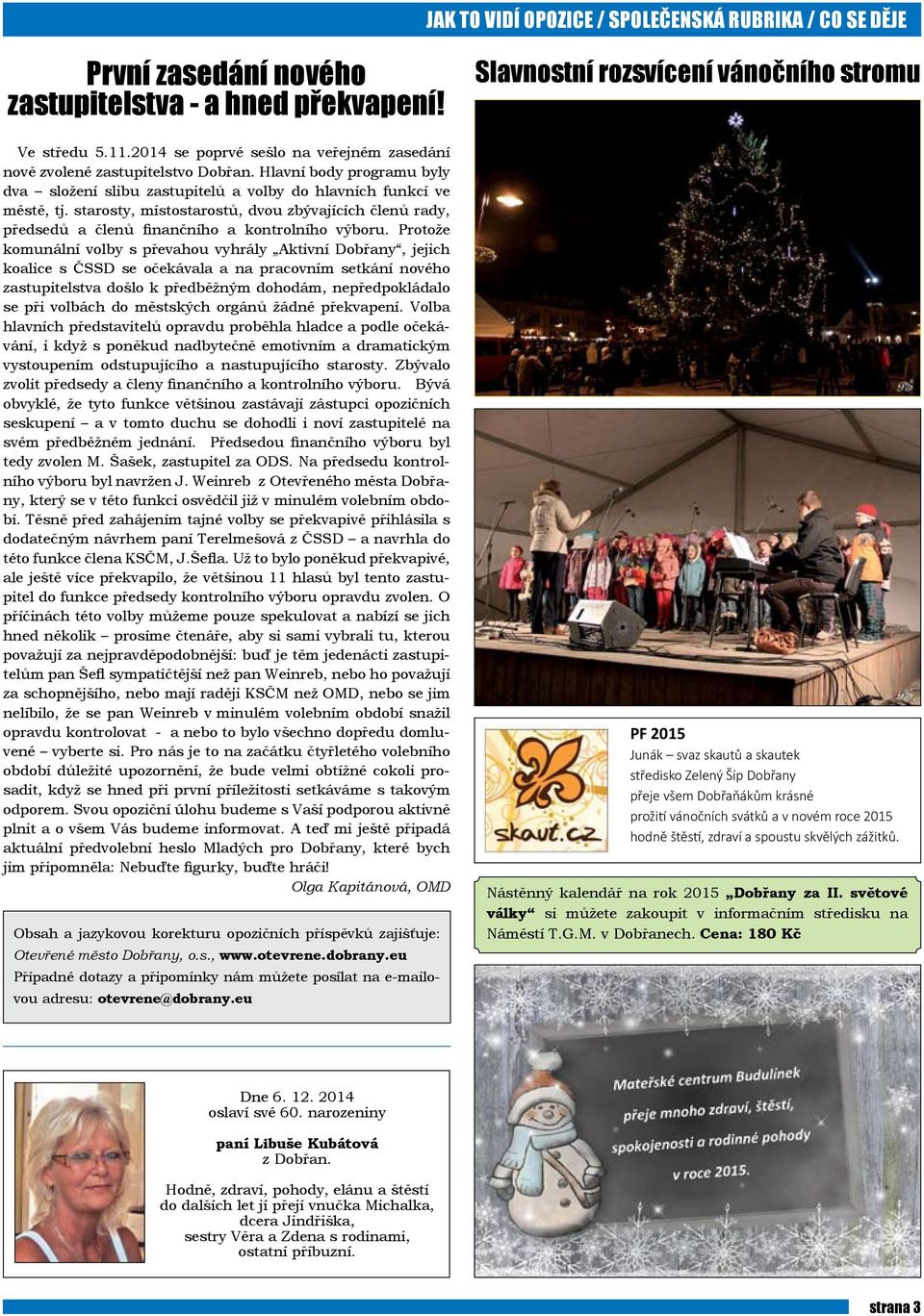 starosty, místostarostů, dvou zbývajících členů rady, předsedů a členů finančního a kontrolního výboru.
