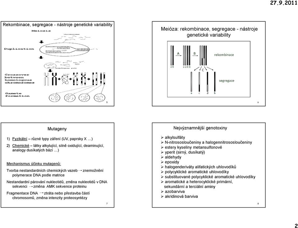 znemožnění Nestandardní párování nukleotidů, změna nukleotidů v DNA sekvenci změna AMK sekvence proteinu Fragmentace DNA ztráta nebo přestavba částí chromosomů, změna intenzity proteosyntézy 7