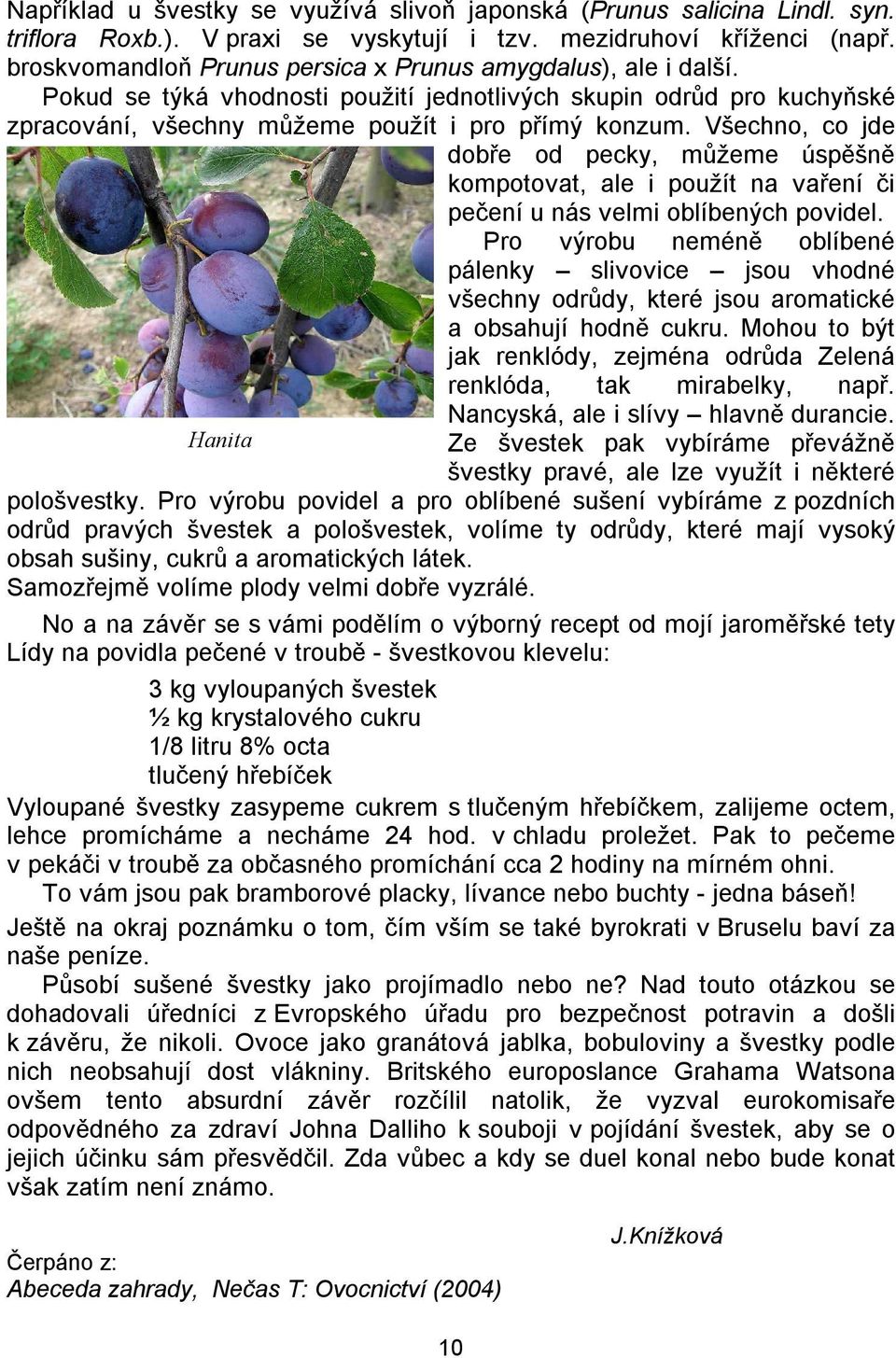 Všechno, co jde dobře od pecky, můžeme úspěšně kompotovat, ale i použít na vaření či pečení u nás velmi oblíbených povidel.