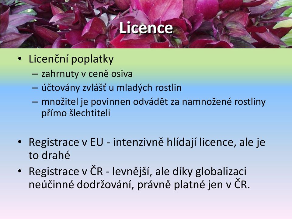 Registrace v EU - intenzivně hlídají licence, ale je to drahé Registrace v