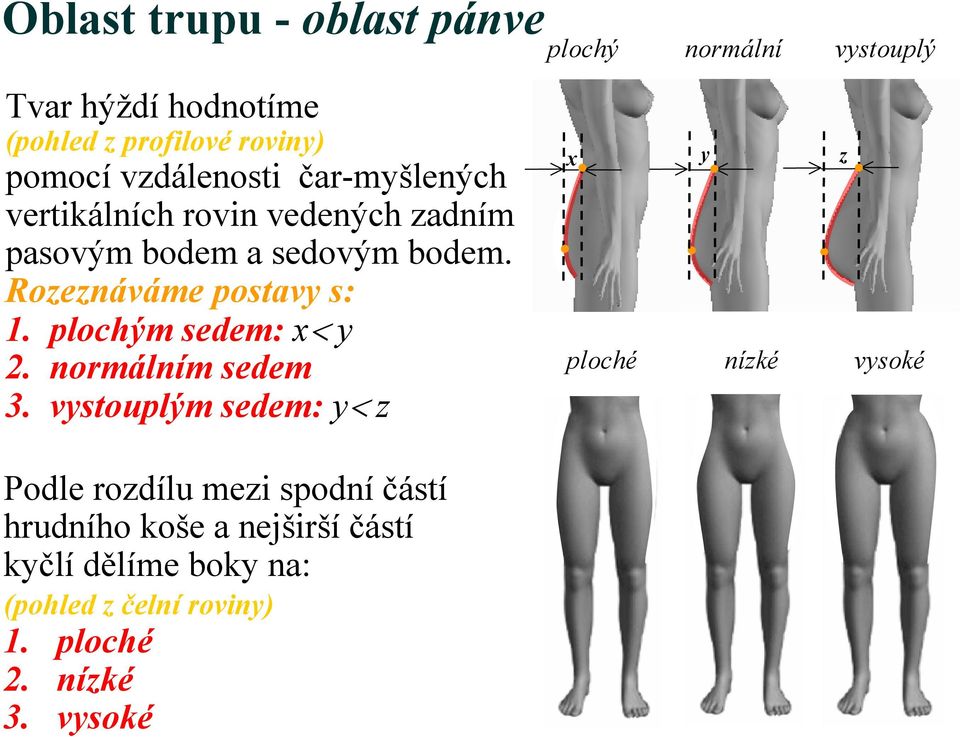 Rozeznáváme postavy s: 1. plochým sedem: x< y 2. normálním sedem 3.