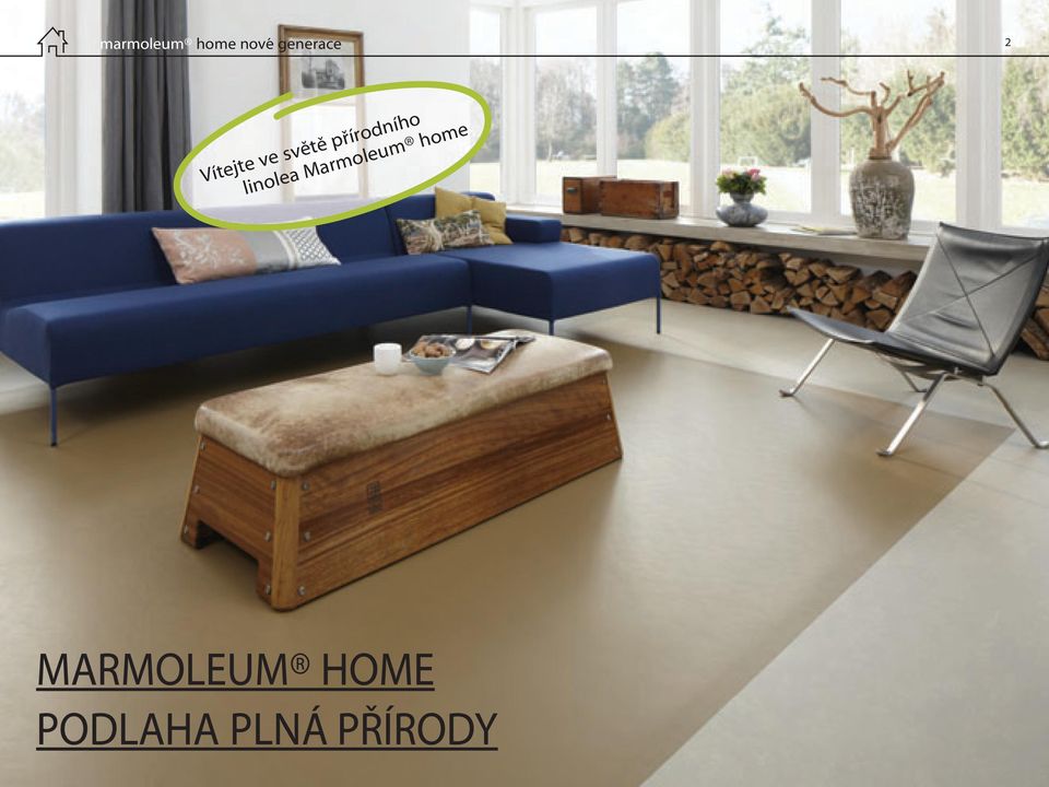 linolea Marmoleum home