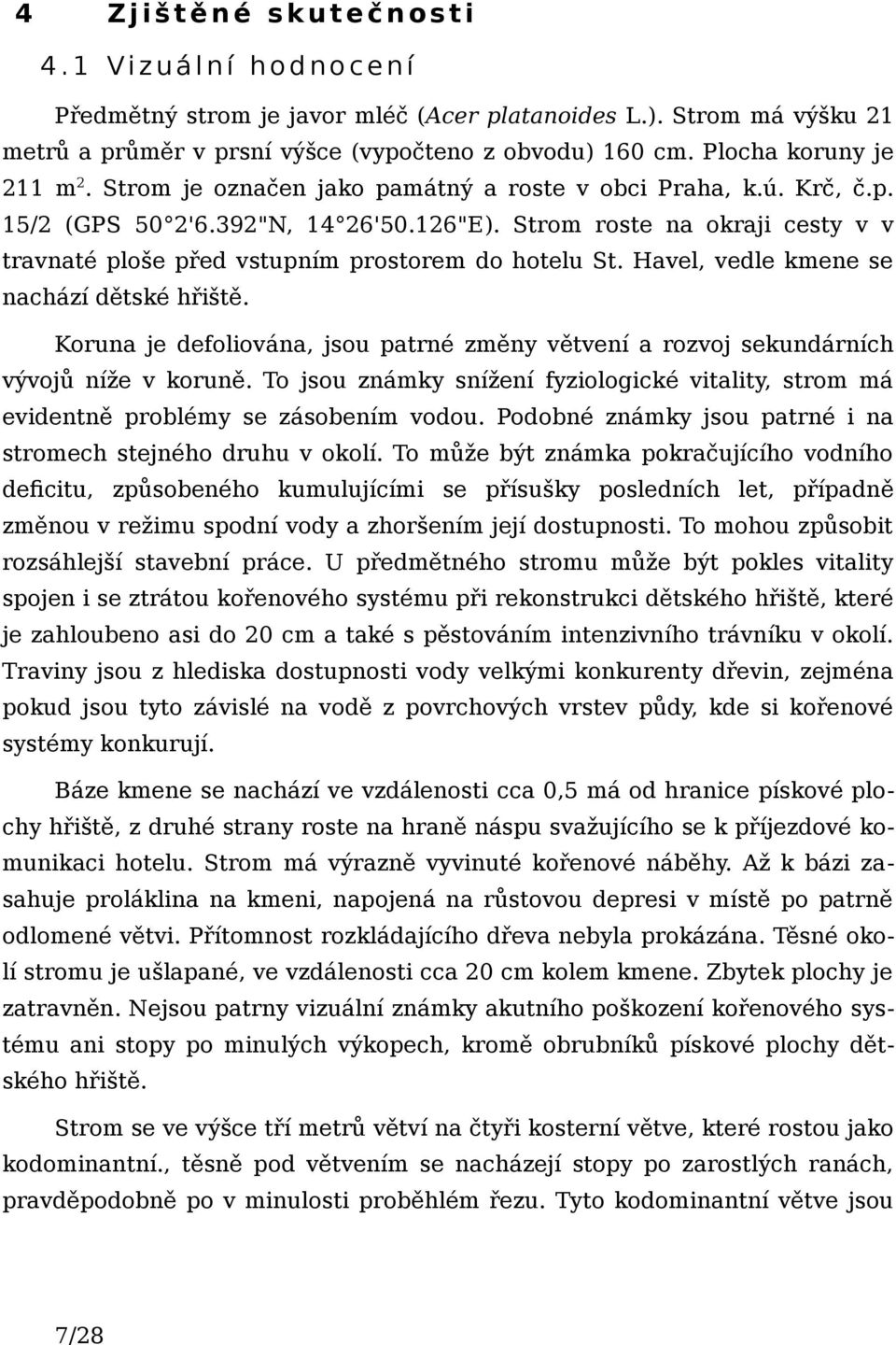 Havel, vedle kmene se nachází dětské hřiště. Koruna je defoliována, jsou patrné změny větvení a rozvoj sekundárních vývojů níže v koruně.