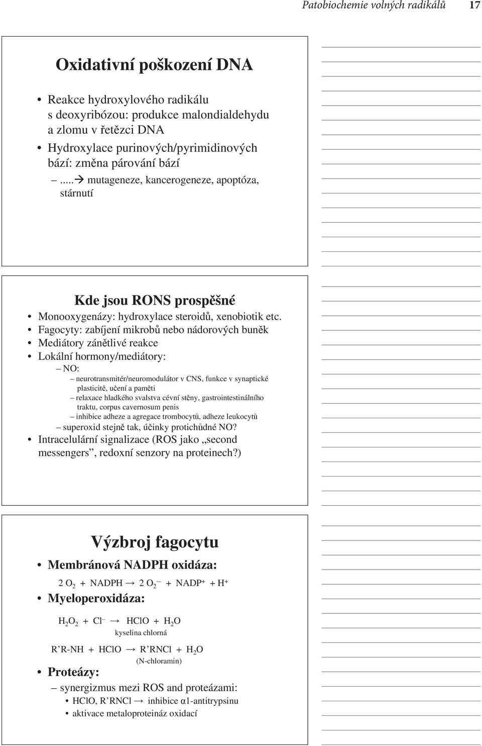 Fagocyty: zabíjení mikrobů nebo nádorových buněk Mediátory zánětlivé reakce Lokální hormony/mediátory: NO: neurotransmitér/neuromodulátor v CNS, funkce v synaptické plasticitě,učení a paměti relaxace