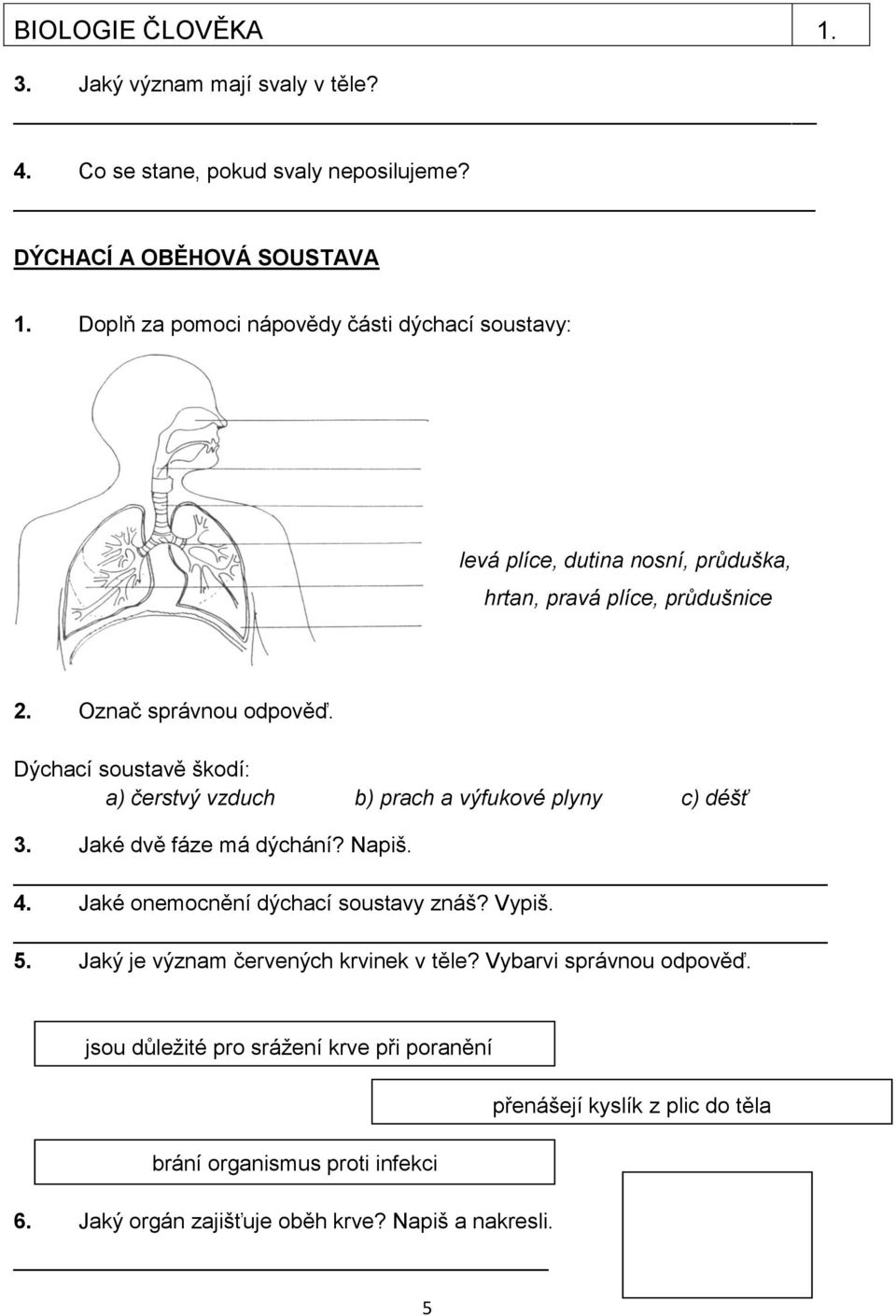 Dýchací soustavě škodí: a) čerstvý vzduch b) prach a výfukové plyny c) déšť 3. Jaké dvě fáze má dýchání? Napiš. 4. Jaké onemocnění dýchací soustavy znáš? Vypiš. 5.