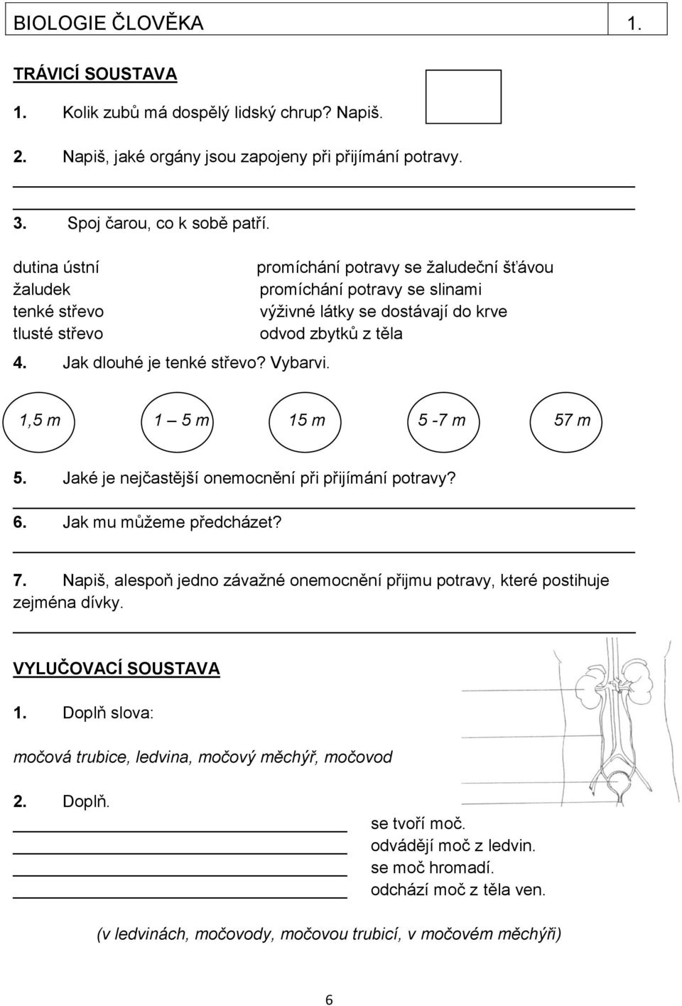 promíchání potravy se žaludeční šťávou promíchání potravy se slinami výživné látky se dostávají do krve odvod zbytků z těla 1,5 m 1 5 m 15 m 5-7 m 57 m 5.