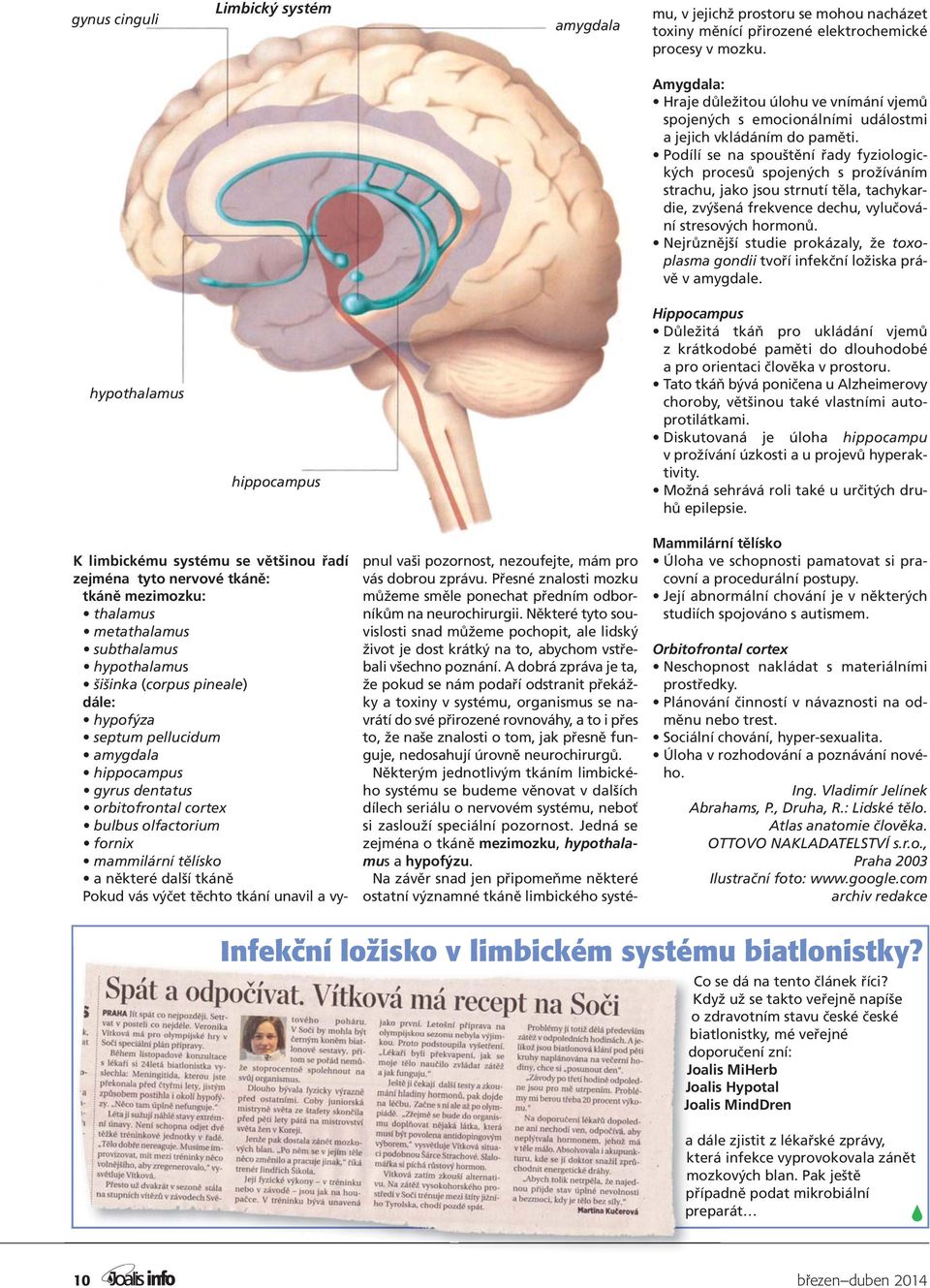 Podílí se na spouštění řady fyziologických procesů spojených s prožíváním strachu, jako jsou strnutí těla, tachykardie, zvýšená frekvence dechu, vylučování stresových hormonů.