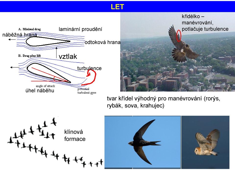 turbulence úhel náběhu tvar křídel výhodný pro