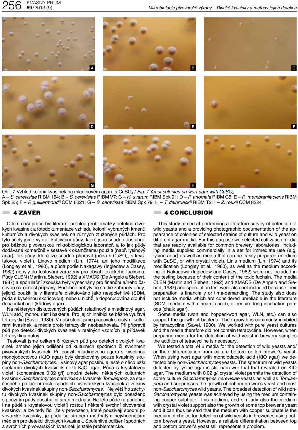 cerevisiae RIM Spk 79; H T. delbrueckii RIM T2; I Z.