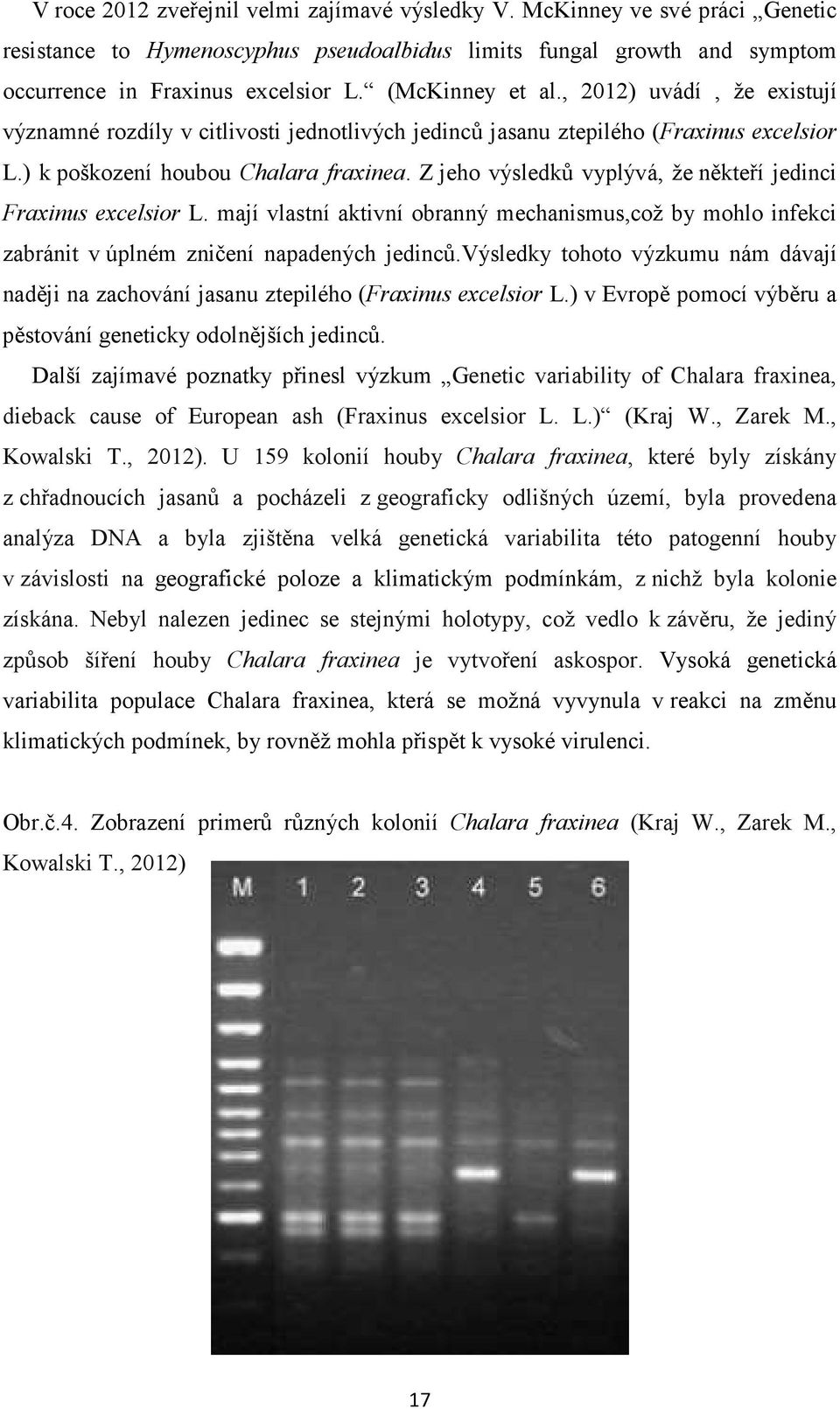 Z jeho výsledků vyplývá, že někteří jedinci Fraxinus excelsior L. mají vlastní aktivní obranný mechanismus,což by mohlo infekci zabránit v úplném zničení napadených jedinců.