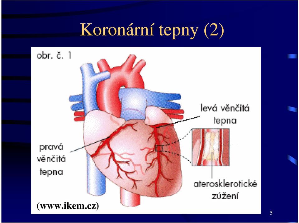 (www.ikem.