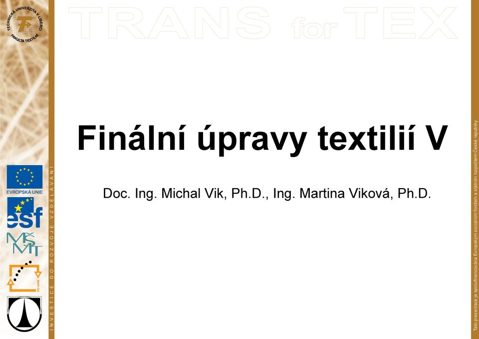 Michal Vik, Ph.D.