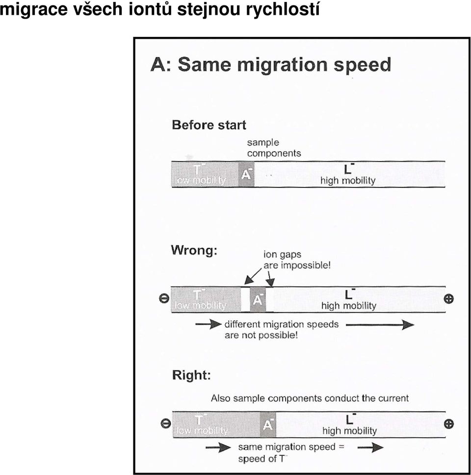 iontů