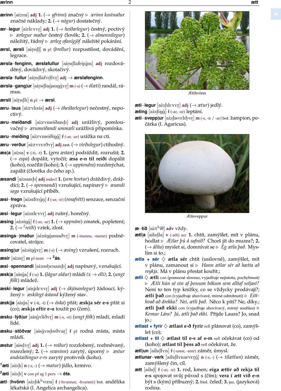 ærsla fenginn, ærslafullur [airsdlafeiñí In] adj rozdová- děný, dovádivý, skotačivý. ærsla fullur [airsdlafydlyr] adj ærslafenginn. ærsla gang ur [airsdlag aung Yr] m (-s) ( ólæti) randál, rá- mus.